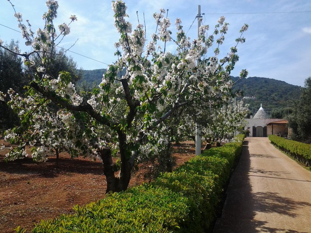 法萨诺La Collina Degli Ulivi公寓 外观 照片